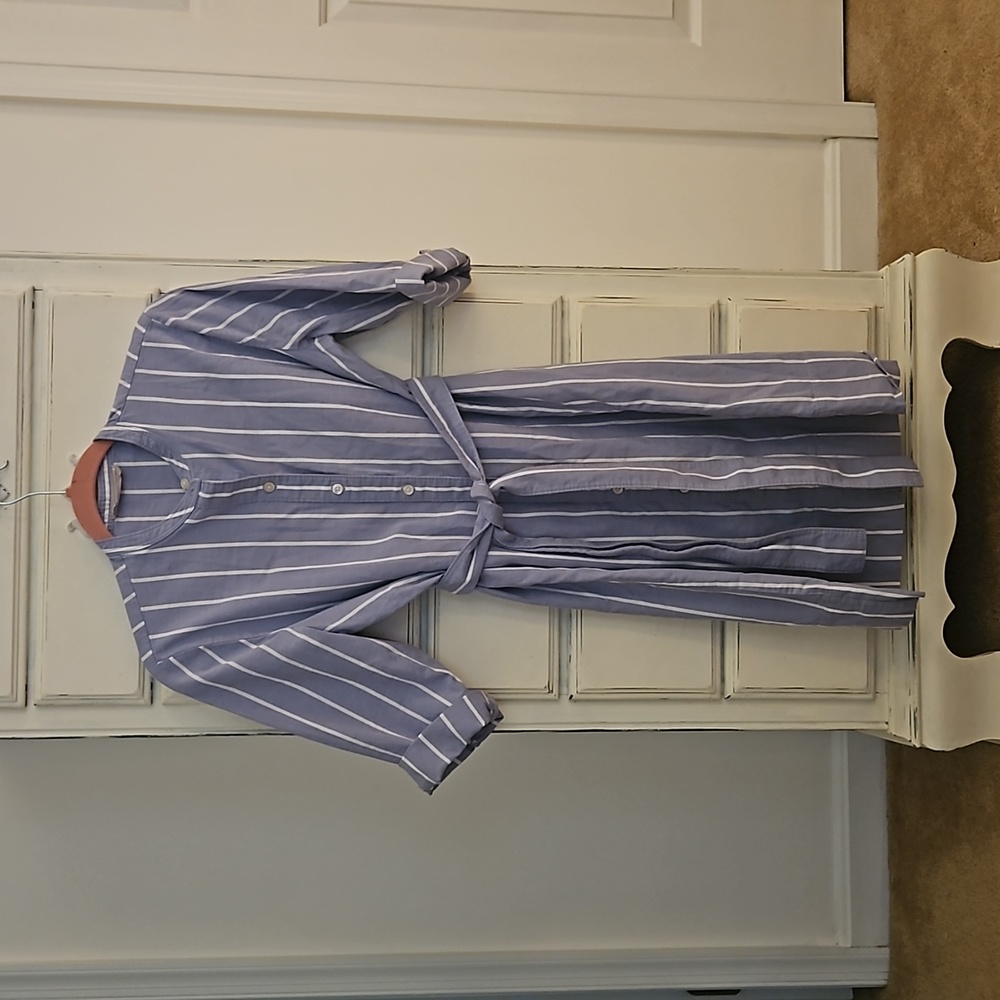 Everlane Shirt Dress